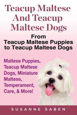 Read Online Teacup Maltese and Teacup Maltese Dogs: From Teacup Maltese Puppies to Teacup Maltese Dogs Includes: Maltese Puppies, Teacup Maltese Dogs, Miniature Maltese, Temperament, Care, & More! - Susanne Saben file in PDF