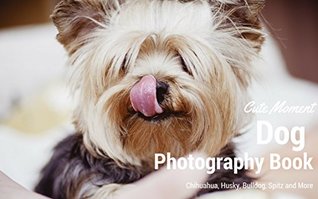 Read Online Dogs Photo Book: Cute Moment of Chihuahua, Husky, Bulldog, Spitz and More (Adorable Dog) - Patricia Woods | PDF