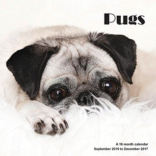 Read Online Pug Calendar - 2017 Wall Calendars - Calendar 2016 - Dog Breed Calendars - Monthly Wall Calendar by Magnum -  file in PDF