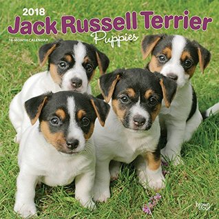 Read Online Jack Russell Terrier Puppies 2018 12 x 12 Inch Monthly Square Wall Calendar, Animals Dog Breeds Terriers (Multilingual Edition) -  | ePub