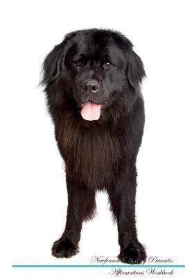 Read Newfoundland Dog Affirmations Workbook Newfoundland Dog Presents: Positive and Loving Affirmations Workbook. Includes: Mentoring Questions, Guidance, Supporting You. - Live Positivity file in PDF