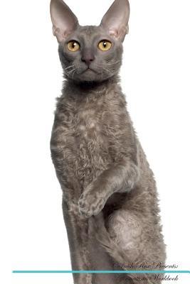 Read Online Cornish Rex Affirmations Workbook Cornish Rex Presents: Positive and Loving Affirmations Workbook. Includes: Mentoring Questions, Guidance, Supporting You. - Live Positivity file in ePub