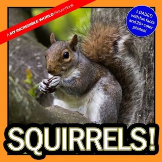 Full Download Squirrels!: A My Incredible World Picture Book: Volume 2 - My Incredible World | PDF