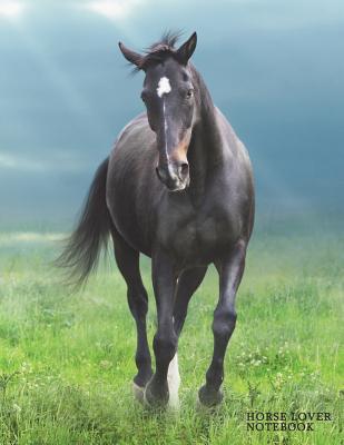 Download Horse Lover Notebook: Equestrian Graph Paper Notebook Notebook Composition Book Quad Ruled 5 X 5 Small Squares Graphing Paper for Math & Science Students and Teachers Large (8.5 X 11) Matte Softback Cover -  | ePub