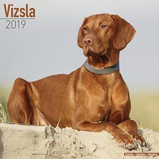 Download Vizsla Calendar - Dog Breed Calendars - 2018 - 2019 Wall Calendars - 16 Month by Avonside -  | ePub
