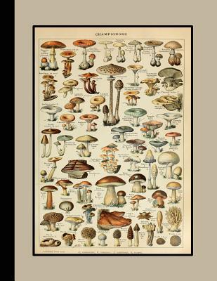 Download Vintage Botanical Illustration Journal: Champignons - The Large Botanical Journal for the Fungi Lover or Mycologist - Botanical Illustration Journals file in PDF