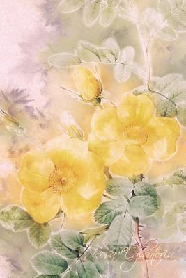 Read Rosa Eglanteria: Floral Notebook with Flower Illustrations on Every Page - Coming Up Roses | PDF
